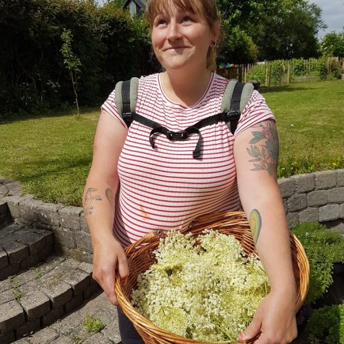 20170621_142140-1 Marlene står med en kurv fuld af hyldeblomster